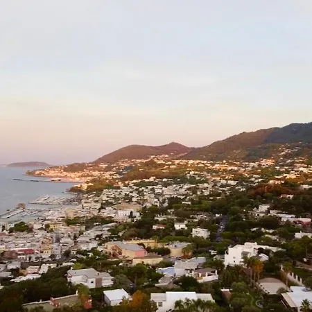 Piccolo Paradiso Lejlighed Forio di Ischia