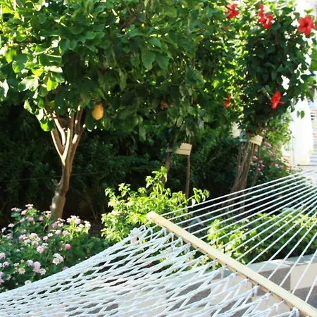 Lejlighed Piccolo Paradiso Forio di Ischia